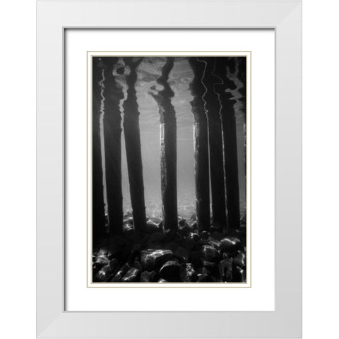 Pier Pilings V White Modern Wood Framed Art Print with Double Matting by Peterson, Lee