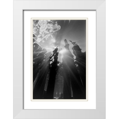 Pier Pilings VI White Modern Wood Framed Art Print with Double Matting by Peterson, Lee