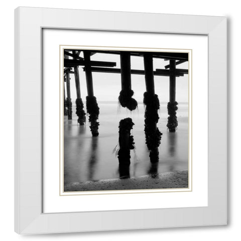 Pier Pilings X White Modern Wood Framed Art Print with Double Matting by Peterson, Lee