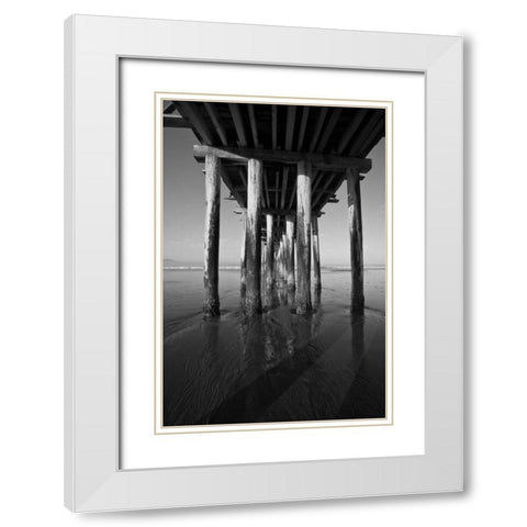 Pier Pilings XVI White Modern Wood Framed Art Print with Double Matting by Peterson, Lee