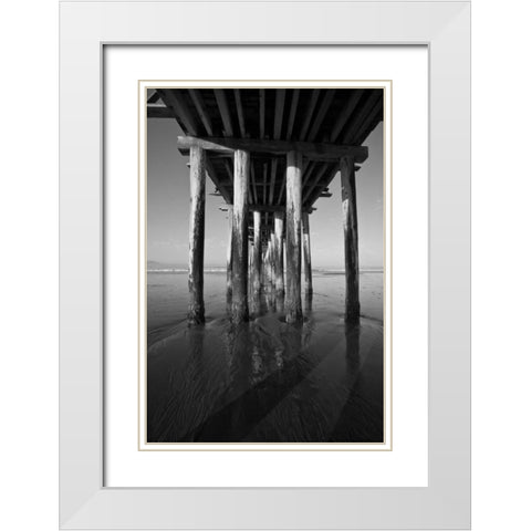 Pier Pilings XVI White Modern Wood Framed Art Print with Double Matting by Peterson, Lee