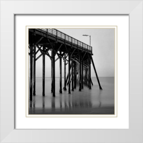 Pier Pilings XX White Modern Wood Framed Art Print with Double Matting by Peterson, Lee