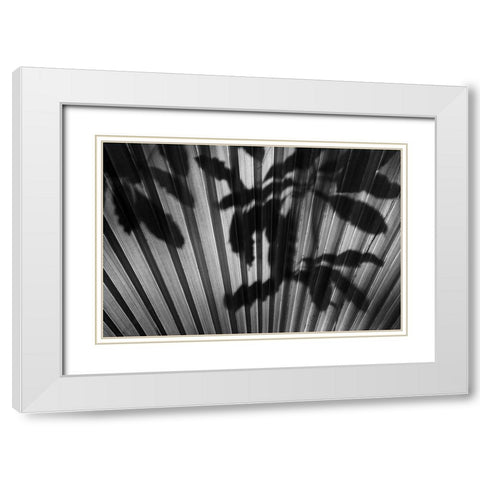 Shadow III White Modern Wood Framed Art Print with Double Matting by Peterson, Lee