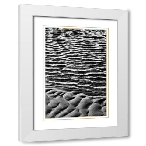 Texture Sand IX White Modern Wood Framed Art Print with Double Matting by Peterson, Lee