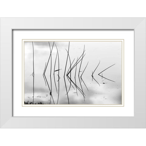 Reeds I White Modern Wood Framed Art Print with Double Matting by Peterson, Lee