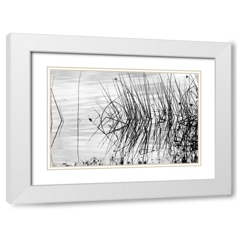 Reeds II White Modern Wood Framed Art Print with Double Matting by Peterson, Lee