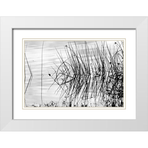 Reeds II White Modern Wood Framed Art Print with Double Matting by Peterson, Lee