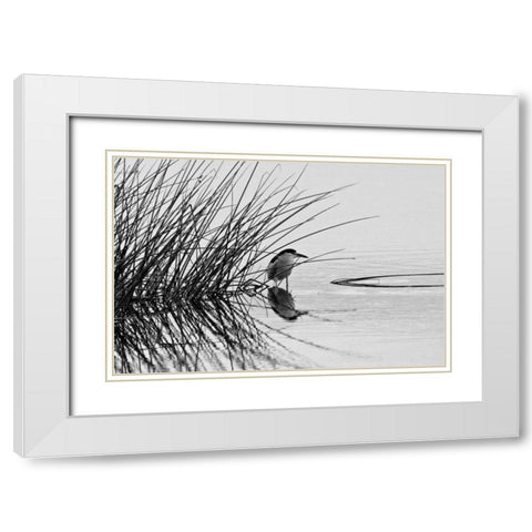 Bird I White Modern Wood Framed Art Print with Double Matting by Peterson, Lee