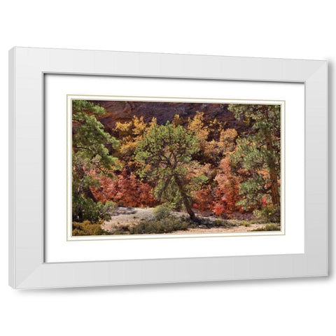 Fall Leaves V White Modern Wood Framed Art Print with Double Matting by Peterson, Lee