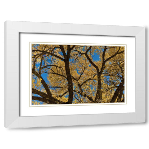 Fall Leaves VII White Modern Wood Framed Art Print with Double Matting by Peterson, Lee