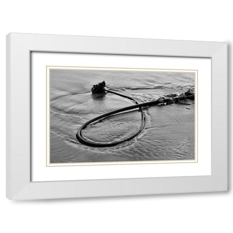 Seaweed White Modern Wood Framed Art Print with Double Matting by Peterson, Lee