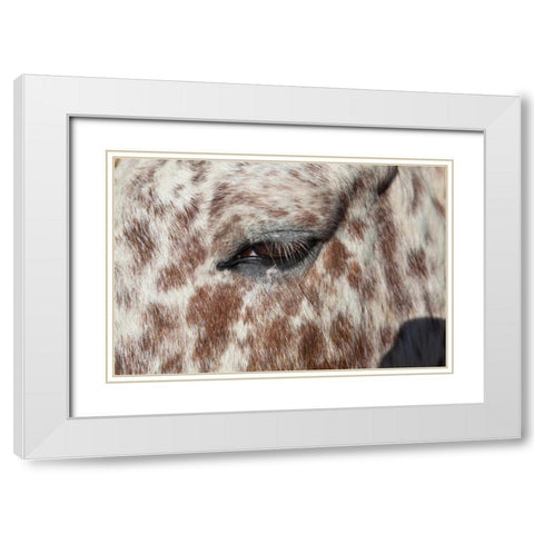 Horse Up Close I White Modern Wood Framed Art Print with Double Matting by Peterson, Lee