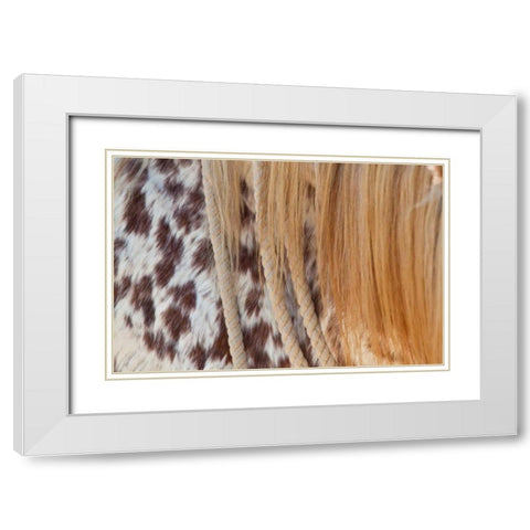 Horse Up Close II White Modern Wood Framed Art Print with Double Matting by Peterson, Lee
