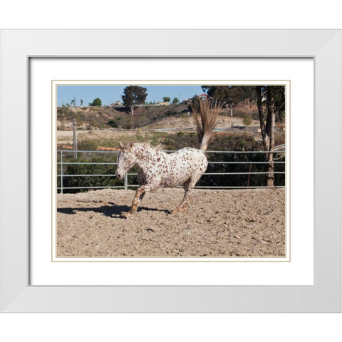 Happy Horse II White Modern Wood Framed Art Print with Double Matting by Peterson, Lee