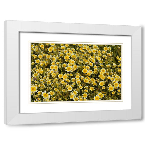 Yellow and White I White Modern Wood Framed Art Print with Double Matting by Peterson, Lee