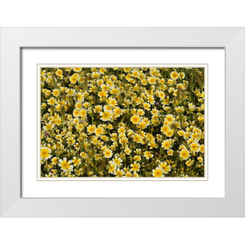 Yellow and White I White Modern Wood Framed Art Print with Double Matting by Peterson, Lee