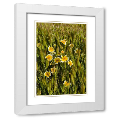 Yellow and White III White Modern Wood Framed Art Print with Double Matting by Peterson, Lee