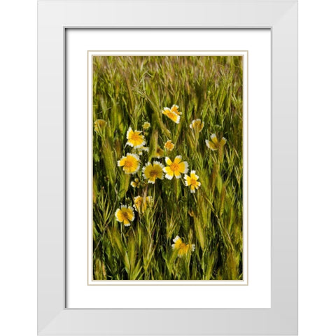 Yellow and White III White Modern Wood Framed Art Print with Double Matting by Peterson, Lee