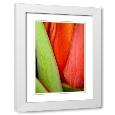 Tulip Detail I White Modern Wood Framed Art Print with Double Matting by Peterson, Lee