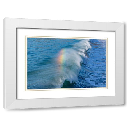 Rainbow Wave II White Modern Wood Framed Art Print with Double Matting by Peterson, Lee