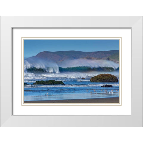 Waves in Cayucos II White Modern Wood Framed Art Print with Double Matting by Peterson, Lee