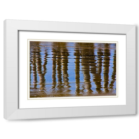 Pier Reflections II White Modern Wood Framed Art Print with Double Matting by Peterson, Lee