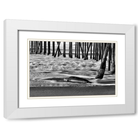 San Simeon Pier BW White Modern Wood Framed Art Print with Double Matting by Peterson, Lee