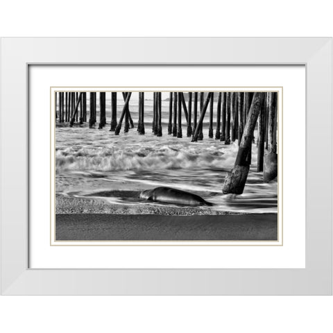 San Simeon Pier BW White Modern Wood Framed Art Print with Double Matting by Peterson, Lee