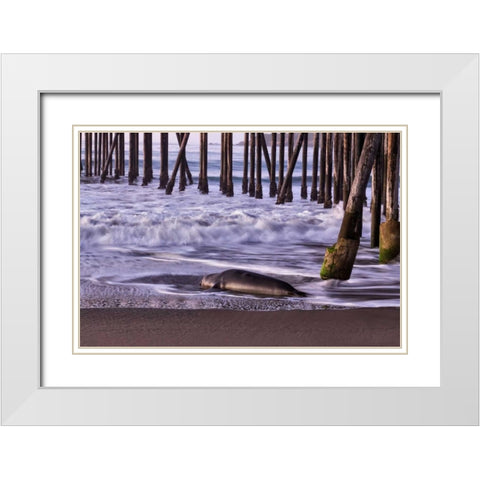 San Simeon Pier I White Modern Wood Framed Art Print with Double Matting by Peterson, Lee