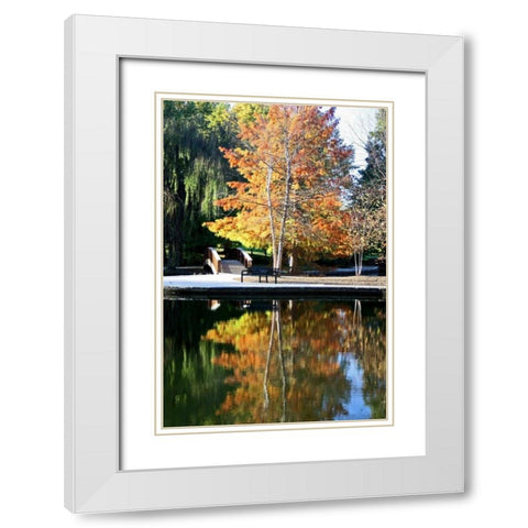 Fall Colors White Modern Wood Framed Art Print with Double Matting by Putman, Tammy