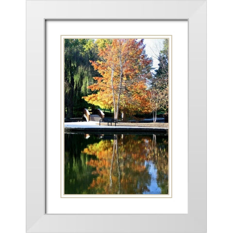 Fall Colors White Modern Wood Framed Art Print with Double Matting by Putman, Tammy