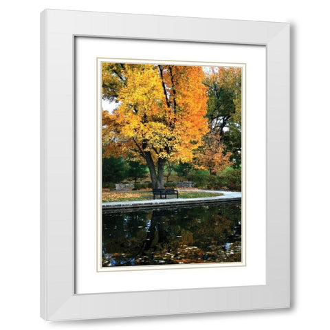 Fall in the Park White Modern Wood Framed Art Print with Double Matting by Putman, Tammy