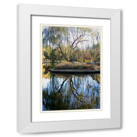 Willow in Fall White Modern Wood Framed Art Print with Double Matting by Putman, Tammy