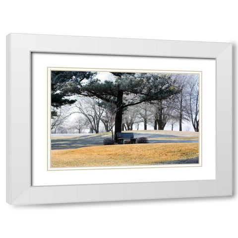 Bench II White Modern Wood Framed Art Print with Double Matting by Putman, Tammy