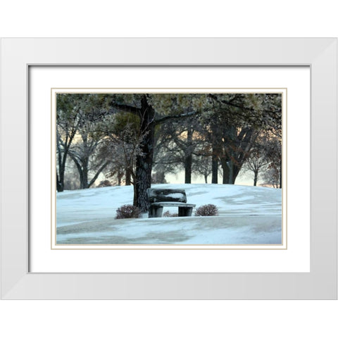 Bench III White Modern Wood Framed Art Print with Double Matting by Putman, Tammy