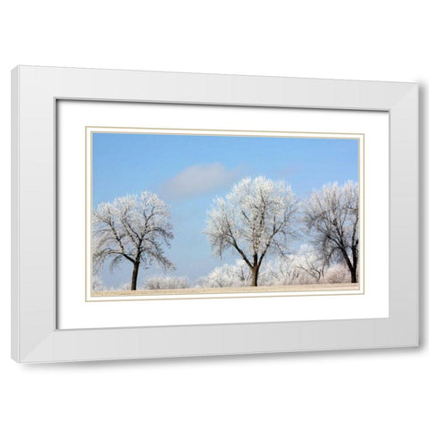 Frozen Fog I White Modern Wood Framed Art Print with Double Matting by Putman, Tammy
