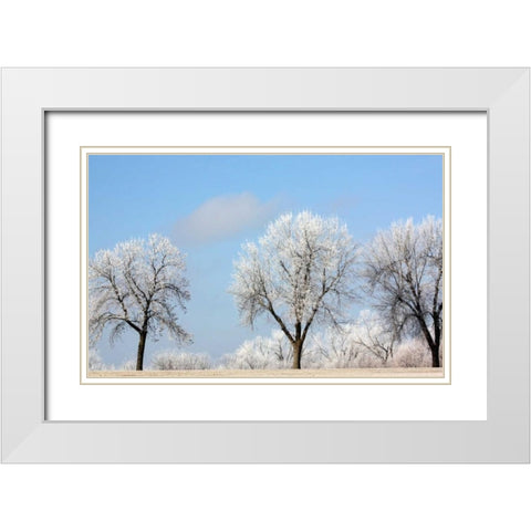 Frozen Fog I White Modern Wood Framed Art Print with Double Matting by Putman, Tammy