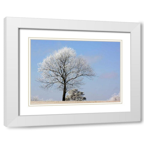 Frozen Fog II White Modern Wood Framed Art Print with Double Matting by Putman, Tammy