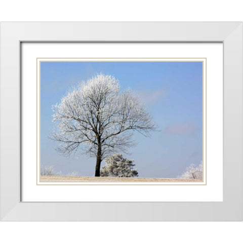 Frozen Fog II White Modern Wood Framed Art Print with Double Matting by Putman, Tammy