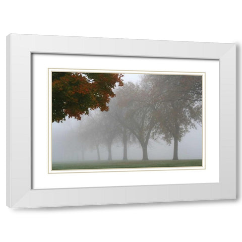 Foggy Trees I White Modern Wood Framed Art Print with Double Matting by Putman, Tammy