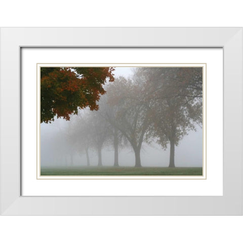 Foggy Trees I White Modern Wood Framed Art Print with Double Matting by Putman, Tammy