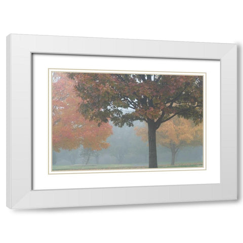 Foggy Trees II White Modern Wood Framed Art Print with Double Matting by Putman, Tammy