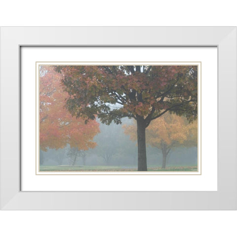 Foggy Trees II White Modern Wood Framed Art Print with Double Matting by Putman, Tammy