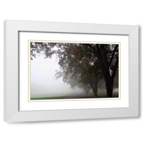 Foggy Trees III White Modern Wood Framed Art Print with Double Matting by Putman, Tammy