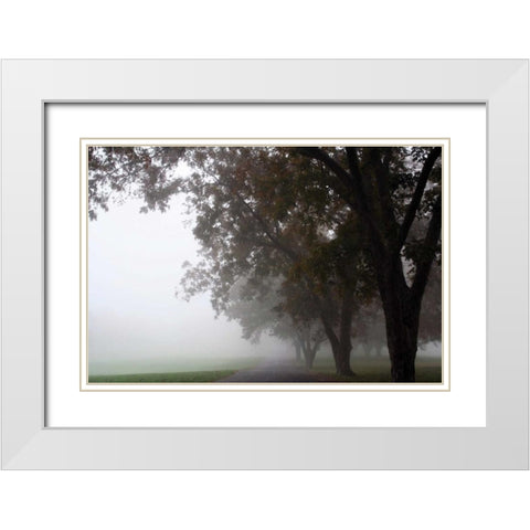Foggy Trees III White Modern Wood Framed Art Print with Double Matting by Putman, Tammy