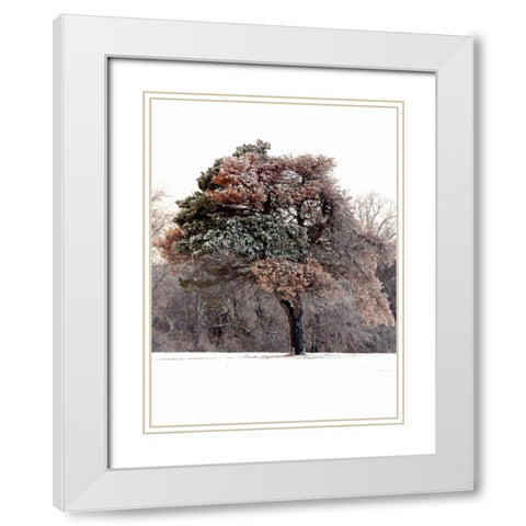 Tree in Snow I White Modern Wood Framed Art Print with Double Matting by Putman, Tammy