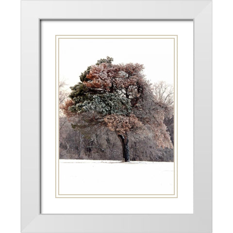 Tree in Snow I White Modern Wood Framed Art Print with Double Matting by Putman, Tammy