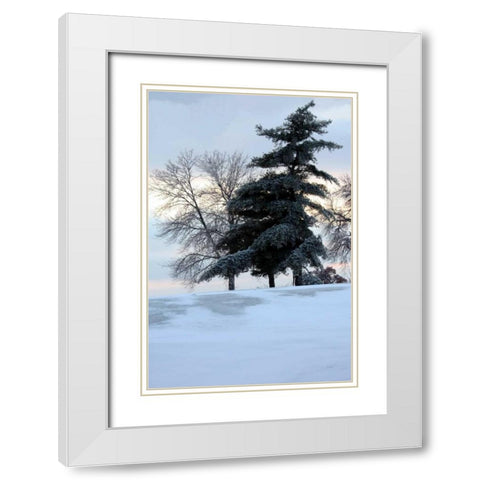 Tree in Snow II White Modern Wood Framed Art Print with Double Matting by Putman, Tammy