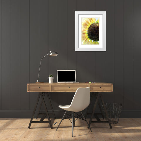 Sunflower VI White Modern Wood Framed Art Print with Double Matting by Putman, Tammy