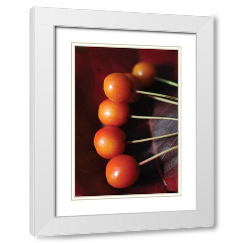 Berries I White Modern Wood Framed Art Print with Double Matting by Putman, Tammy